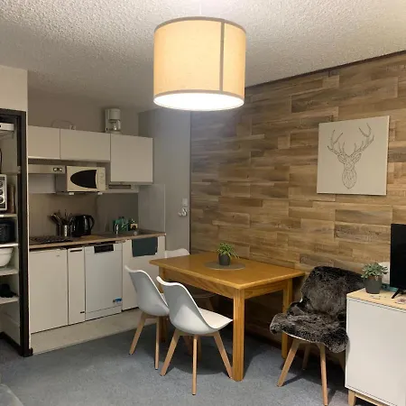 Studio De 32 M2 Pour 3 Personnes Pied Des Pistes Les Deux Alpes Exterior photo