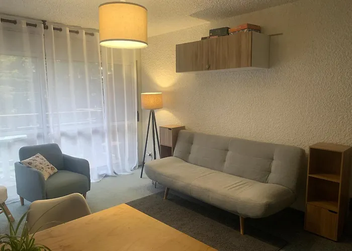 Studio De 32 M2 Pour 3 Personnes Pied Des Pistes